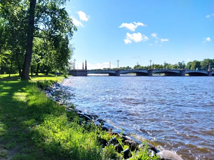 St. Petersburg. Kamennoostrovsky bridge - My, Saint Petersburg, Mobile photography, Bridge, Landscape, Birds