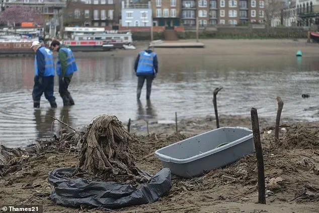 Used wet wipes form 'island' that changes course of Thames - Garbage, Ecology, Plastic, Great Britain, London, Longpost