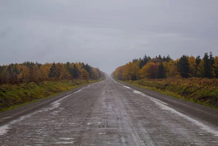 Road - My, Road, The photo, Autumn, After the rain