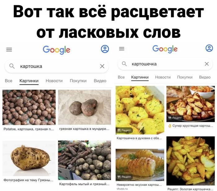 Искусство ласки - Мемы, Картинка с текстом, Смех, Анекдот, Картофель, Юмор, Поисковые запросы