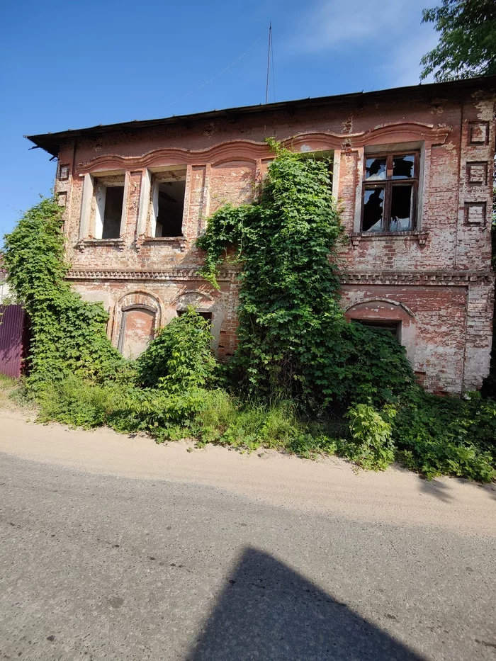 ...beauty in simplicity... - Klintsy, Abandoned, Plants