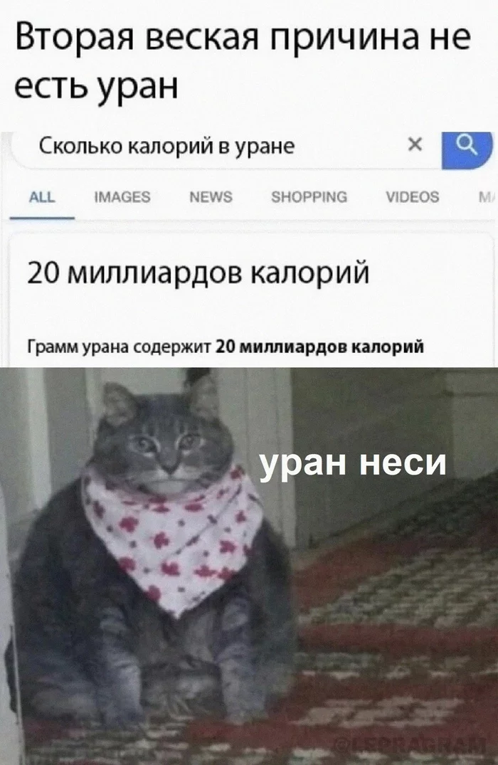 Uranium - Humor, Picture with text, The photo, Memes, Uranus, cat