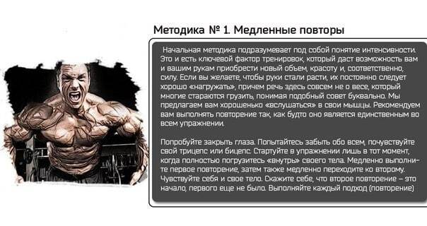 7 Методик сделать руки огромными - Здоровье, Фитнес, Тренировка, Бодибилдинг, Спорт, Лишний вес, Похудение, Бицепс, Тренер, Длиннопост