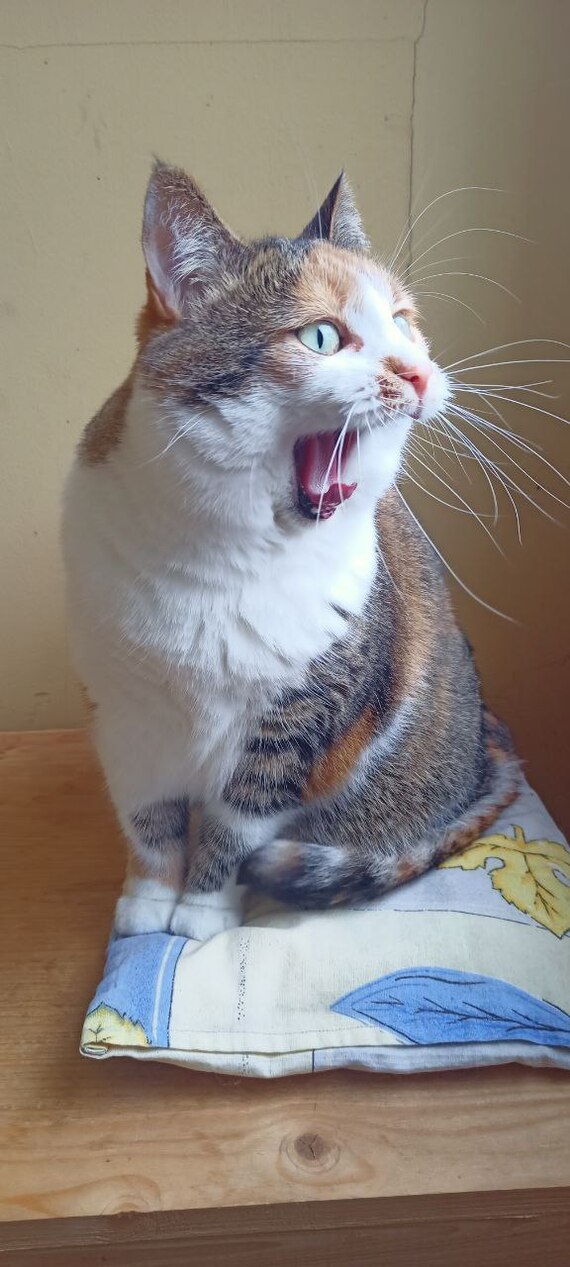 Выглядит страшно