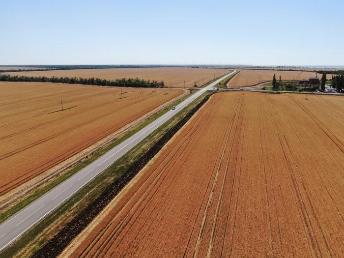 Winter wheat - My, Wheat, Quadcopter, DJI Mavic 2 PRO, View from above, Field
