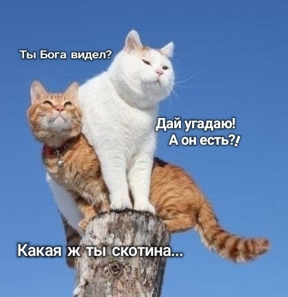 Романтику испортил...