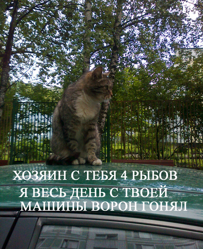  , ,  ,   