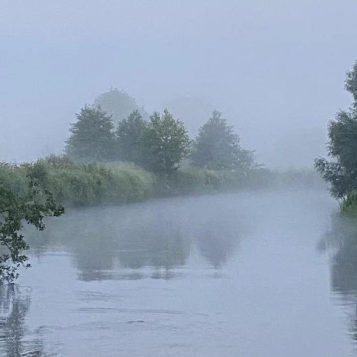 Dawn Fog - My, dawn, Republic of Belarus, Fog, Sunrise, Summer, Nature