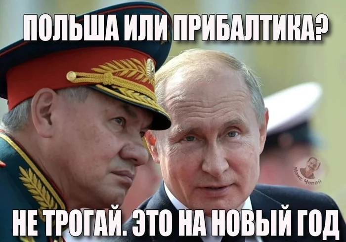 Poland or the Baltics? - Politics, Vladimir Putin, Sergei Shoigu, Plan, Humor, Picture with text