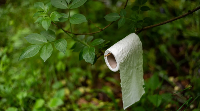 In New Zealand, they turned against lovers of going to the toilet in nature - Ecology, Garbage, Toilet, Nature, Hike, New Zealand