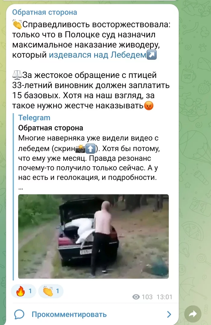 Response to bastard's post - Negative, Republic of Belarus, Vertical video, Cruelty to animals, Swans, Animals, Flailing, Wild animals, Birds, Drunk, Forest, Auto, Reply to post