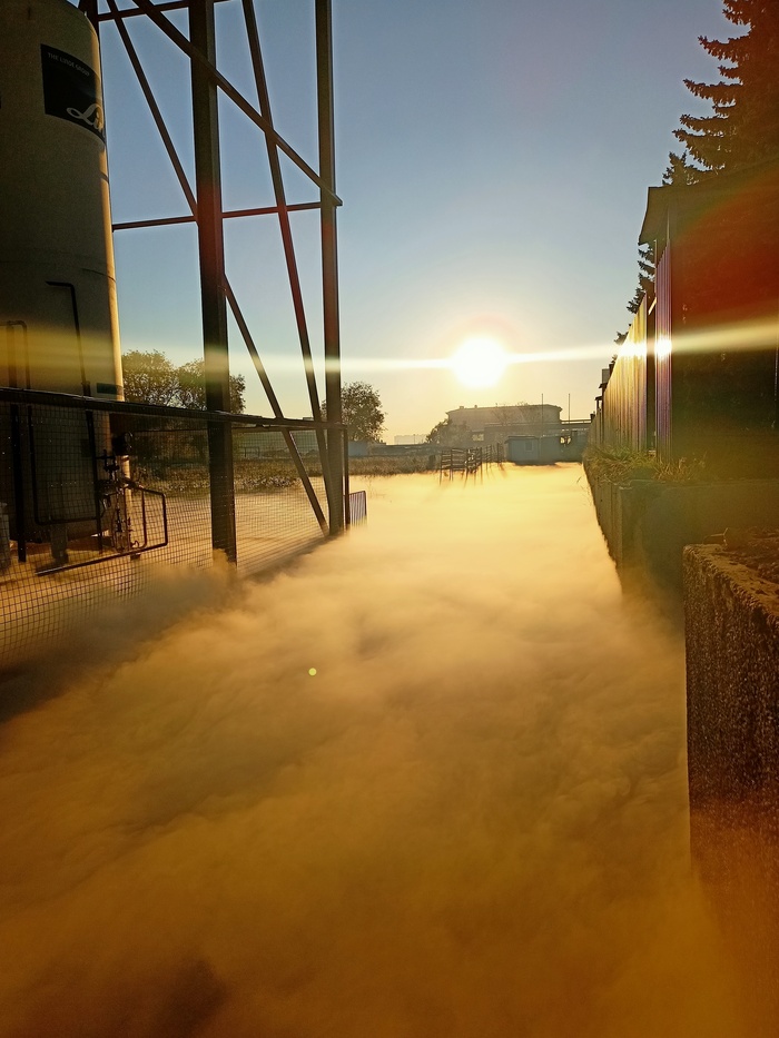 ������ ����