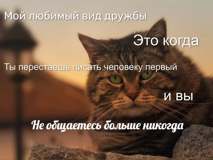 Kote crap won't tell ;) - Communication, cat, friendship, Picture with text