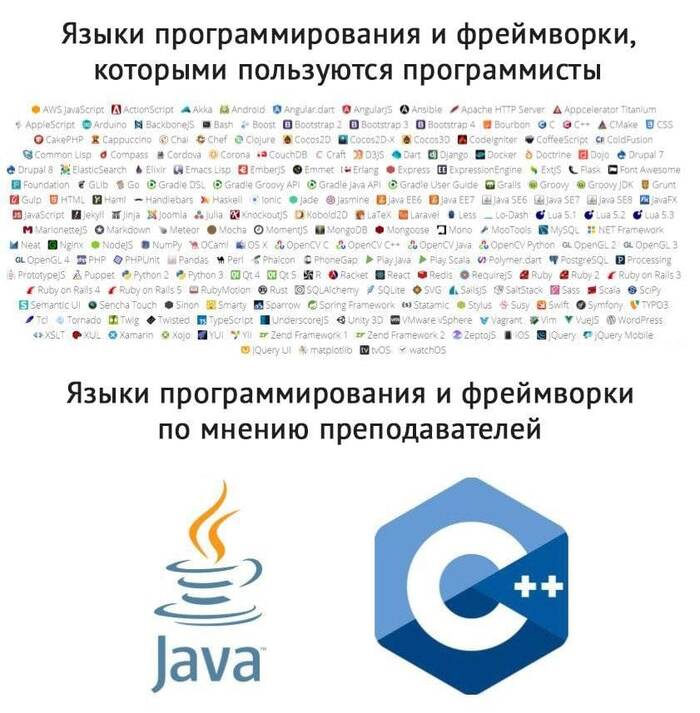 Delphi    , IT , , , Java, C++