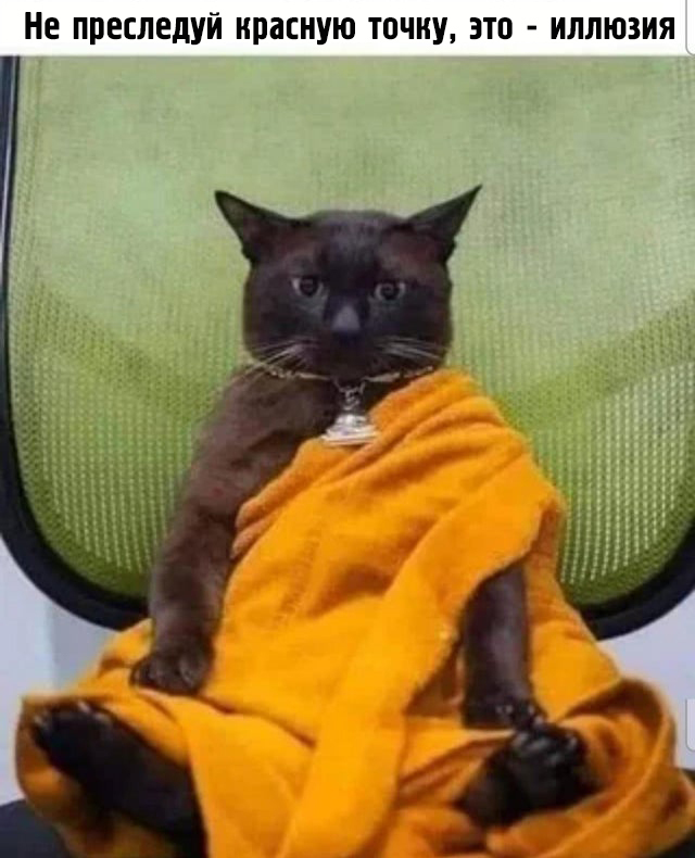 Kotobuddha - Humor, Memes, cat, Buddha, Translated by myself, Picture with text