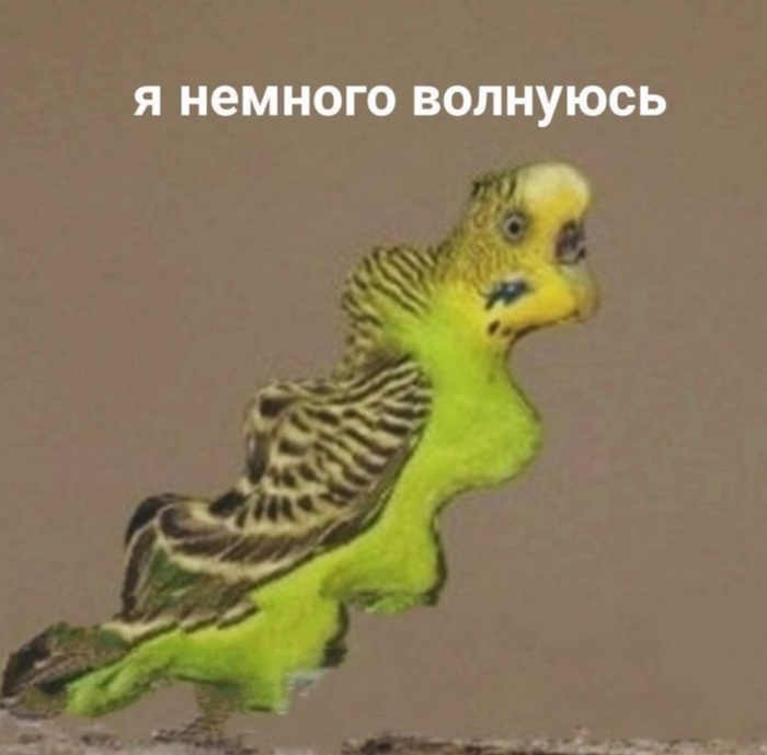 Как я сдавала (и сдаю) на права