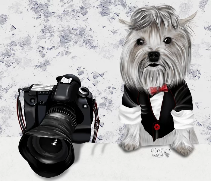 Custom photographer - My, Painting, Digital, Drawing, Drawing on a tablet, Creation, Creative people, Photographer