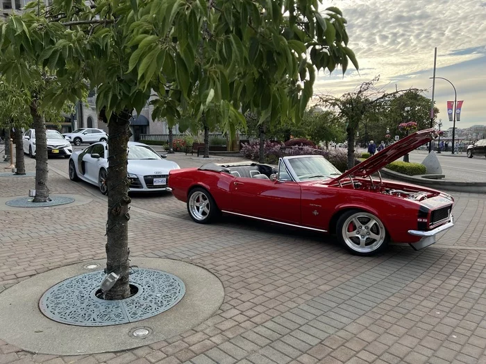 1969 Chevrolet Camaro SS 427 - My, Auto, Chevrolet, Car, Classic, Cabriolet, beauty, Canada, Longpost