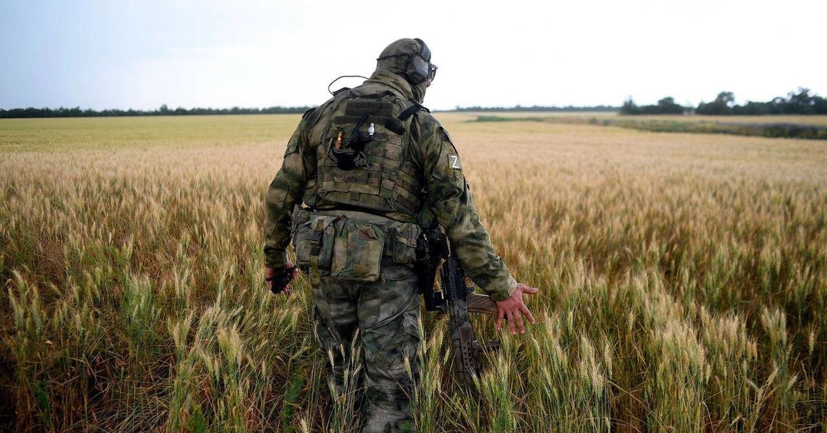 Работа ссо в тылу противника. Камуфляж ССО ВСУ. Военное поле. Солдат в поле.