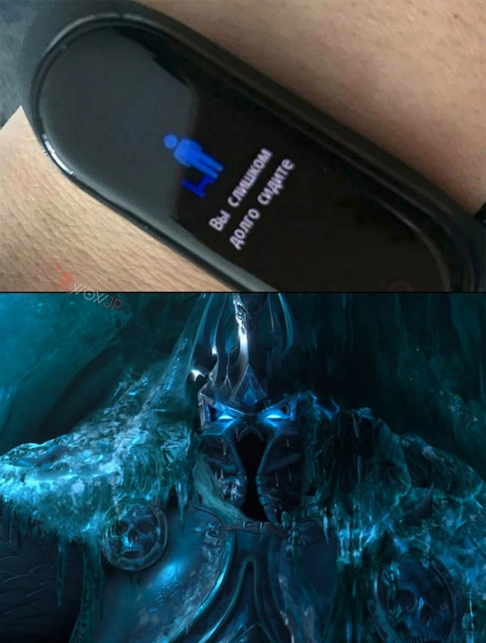 ���� ���������