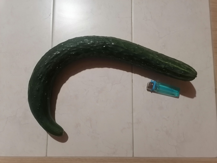   49  5, ,  , , 
