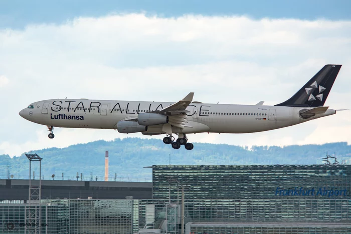 Frankfurt - Моё, Споттинг, Авиация, Boeing, Airbus, Франкфурт-На-Майне, Германия, Длиннопост
