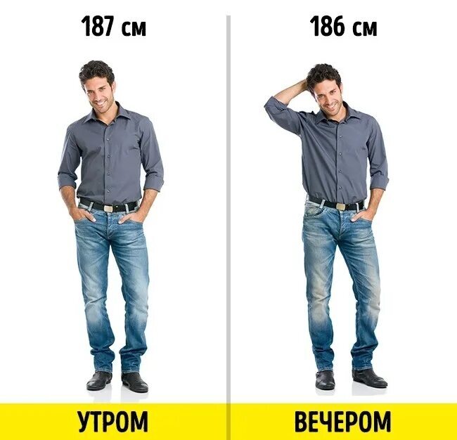 Человек рано утром имеет один рост, а вечером его рост уменьшается | Пикабу