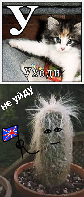 ,     , , ,   