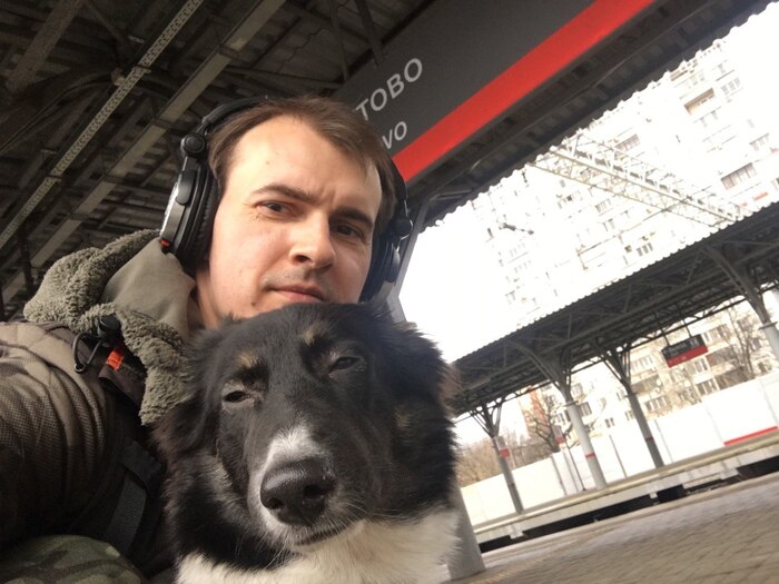 Я не был готов к подобному Собака, В добрые руки, Помощь животным, Спасение животных, Длиннопост, Без рейтинга, Москва