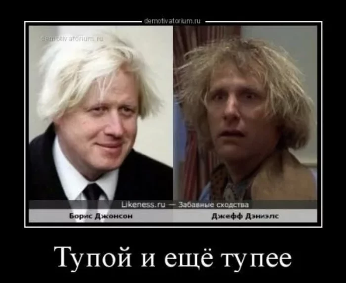 Twins - Politics, Actors and actresses, Dumb and Dumber (film), Memes, Humor