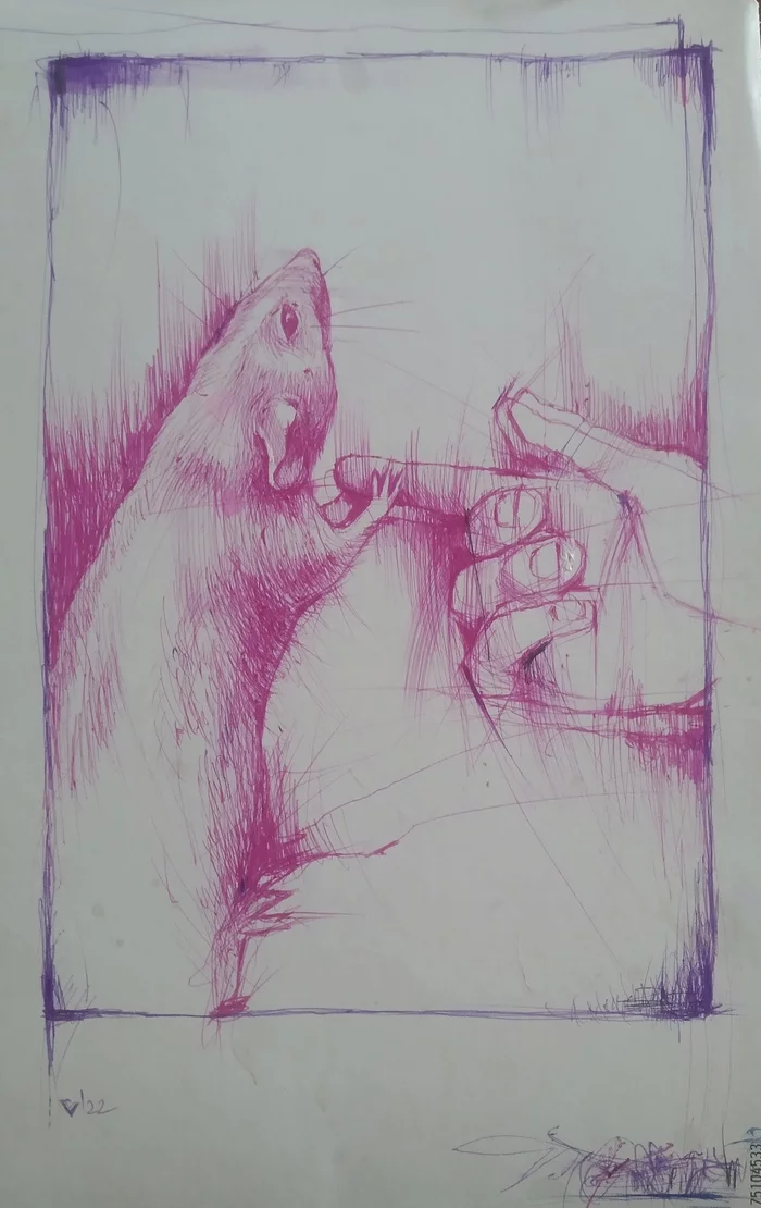 Expecting  more - My, Drawing, Graphics, Sketch, Sketch, Pen drawing, Rat, Animals