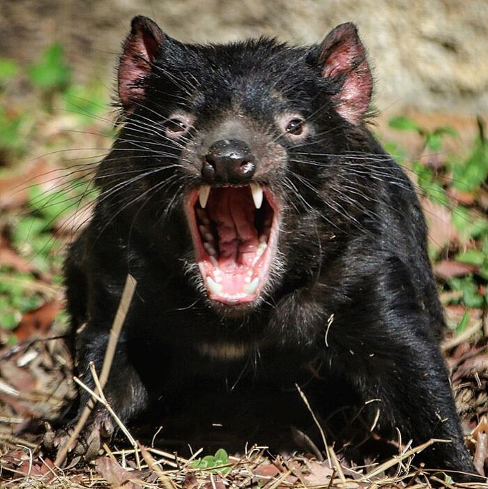 �����, ���. ������ � ��������