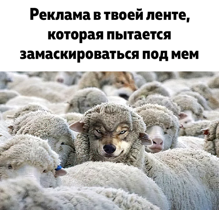 Pseudomemies - My, Humor, Advertising, Memes, Picture with text, Deception, Wolf, Sheeps, Suspicious