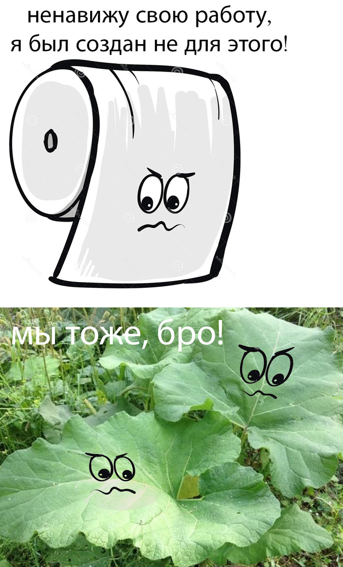  ,  !   , , 