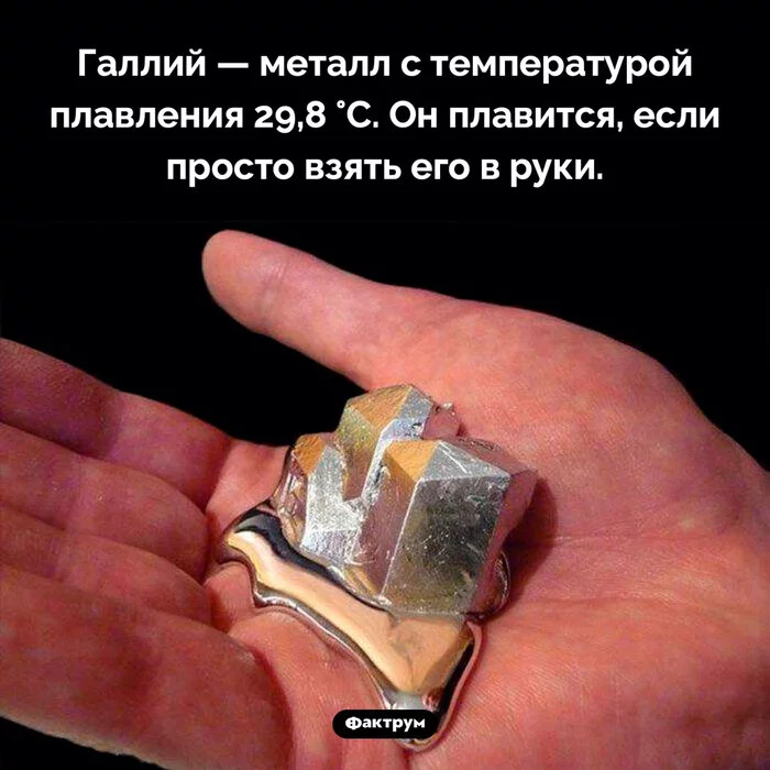 Лекок де буабодран открыл химический элемент. Метал котлрыы плавится на руке. Галлий химический элемент. Физические свойства галлия. Как открыли галлий.