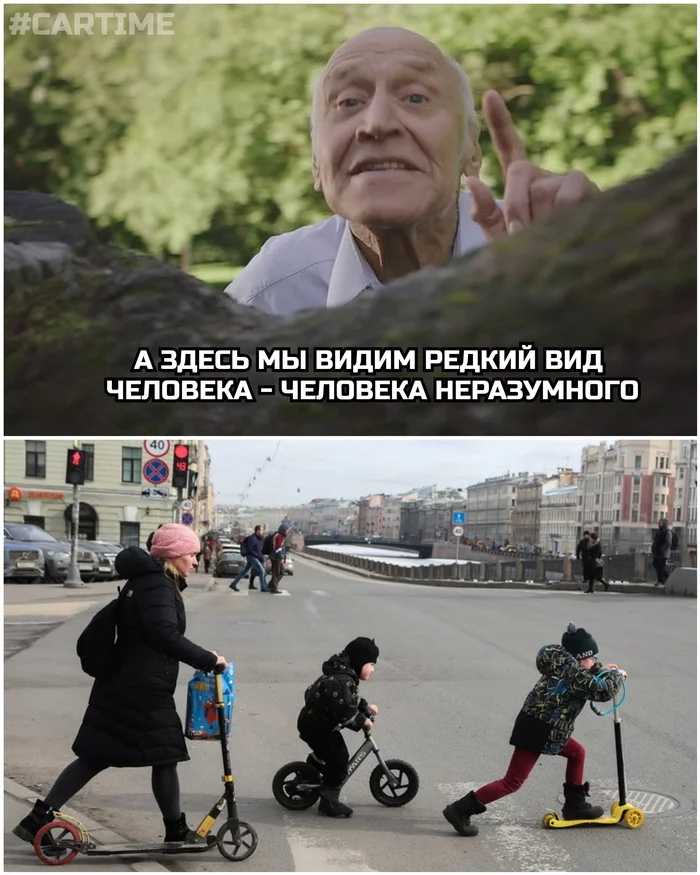 In the animal world... - My, Auto, A pedestrian, Kick scooter, Memes, Humor, In the animal world, Nikolay Drozdov, Picture with text