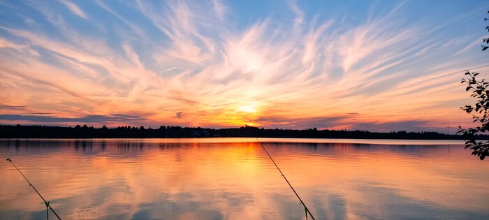 ����� �� ����������