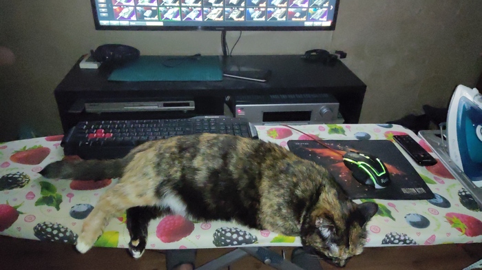 ��� ���������� ����� - ������ �����