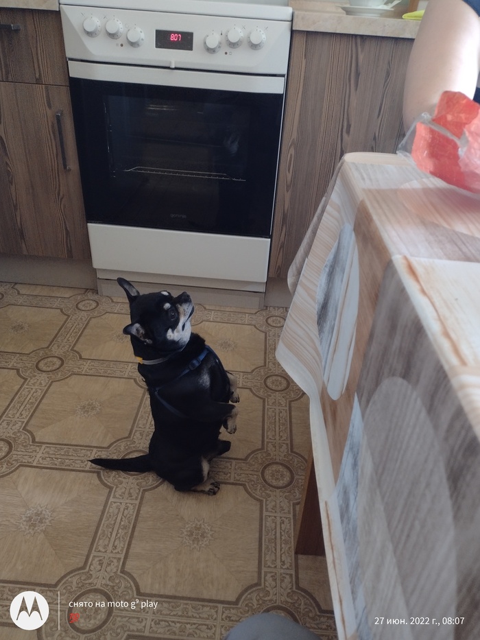 ��� �������