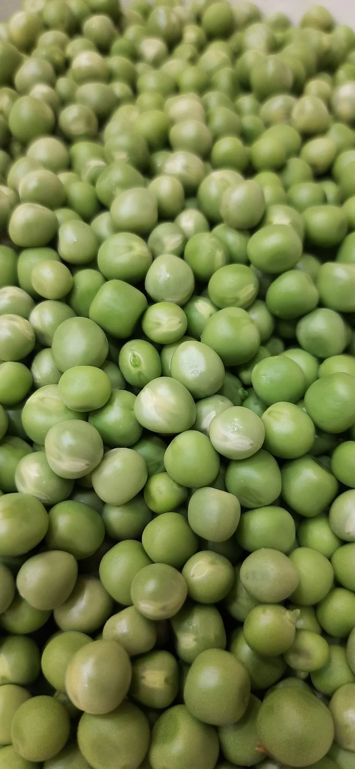 Peas) - My, Peas, Screensaver, Longpost