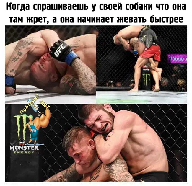 Poirier) - Humor, Ufc, Khabib Nurmagomedov, Laugh, Subtle humor, Picture with text