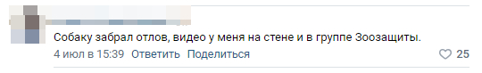 Собаку, которую жестоко избил мужчина, находится на данный момент в отлове в Каменске-Уральском, на нее собрали внушительную сумму - Моё, Животные, Помощь животным, Спасение животных, Длиннопост, Негатив, Длинное