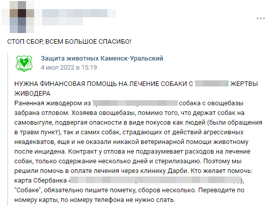 Собаку, которую жестоко избил мужчина, находится на данный момент в отлове в Каменске-Уральском, на нее собрали внушительную сумму - Моё, Животные, Помощь животным, Спасение животных, Длиннопост, Негатив, Длинное