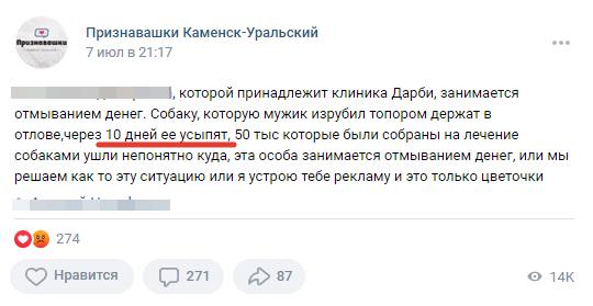 Собаку, которую жестоко избил мужчина, находится на данный момент в отлове в Каменске-Уральском, на нее собрали внушительную сумму - Моё, Животные, Помощь животным, Спасение животных, Длиннопост, Негатив, Длинное