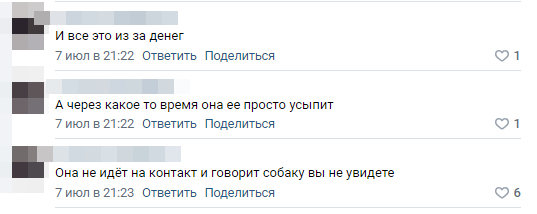 Собаку, которую жестоко избил мужчина, находится на данный момент в отлове в Каменске-Уральском, на нее собрали внушительную сумму - Моё, Животные, Помощь животным, Спасение животных, Длиннопост, Негатив, Длинное