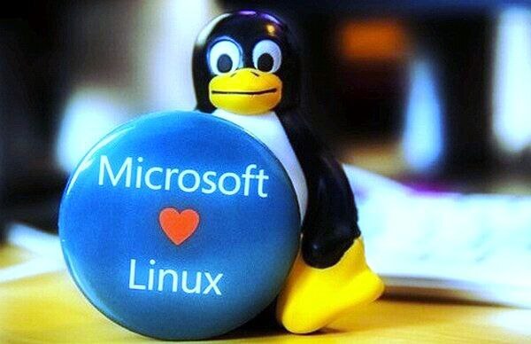       ,     Linux Windows, Linux, Microsoft, Lenovo, , ,  , 
