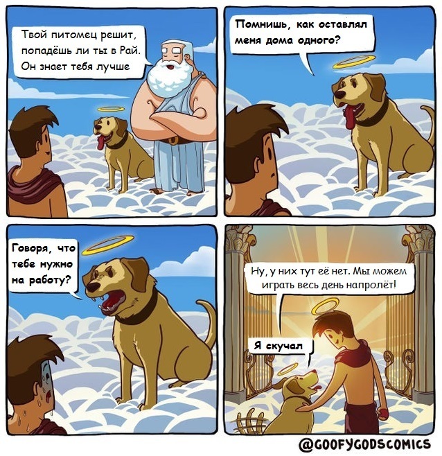 I missed it - Comics, Pets, Dog, Paradise, Goofygodscomics