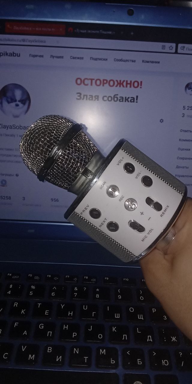 � ����� ������ �����