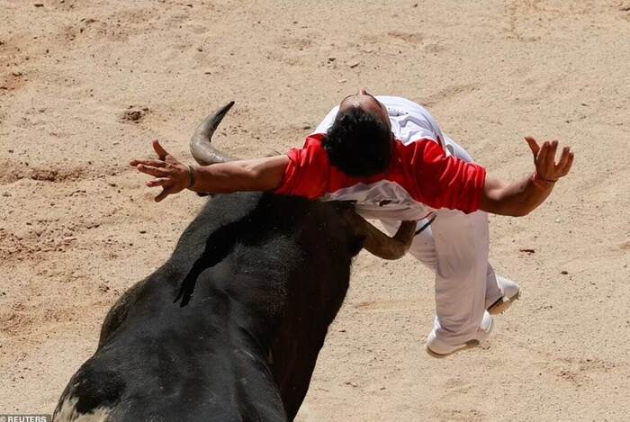 Race with bulls - Spain, Their morals, Bullfight, Bull, Video