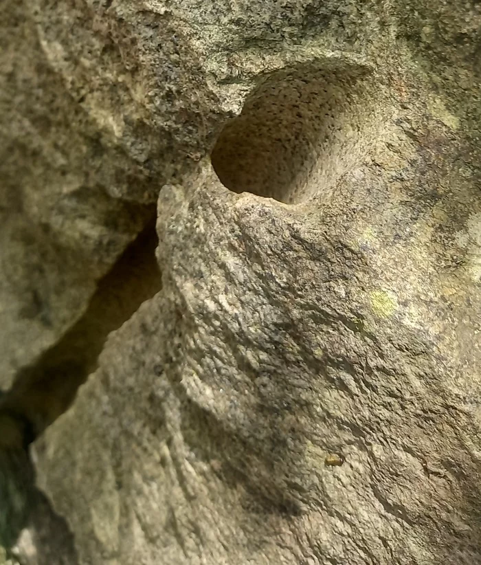 Found an interesting stone - My, A rock, Stone carving, Granite, Longpost